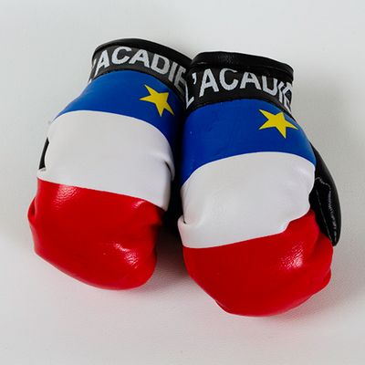Rearview Mirror Boxing Gloves