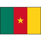Cameroon Stick Flags, Finish: Heat Cut, Size: 4x6&quot;
