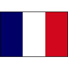 France Stick Flags, Finish: Heat Cut, Size: 4x6&quot;