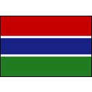 Gambia Stick Flags, Finish: Heat Cut, Size: 4x6&quot;