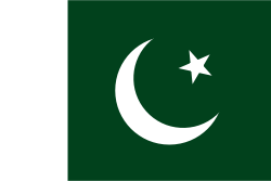 Pakistan Stick Flag, Finish: Heat Cut, Size: 4x6&quot;
