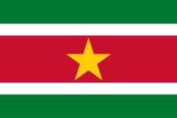 Suriname Stick Flag, Finish: Heat Cut, Size: 4x6&quot;