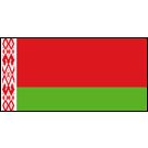 Belarus Stick Flags, Finish: Heat Cut, Size: 4x6&quot;