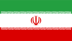 Iran Stick Flags, Finish: Heat Cut, Size: 4x6&quot;