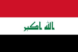 Iraq Stick Flags, Finish: Heat Cut, Size: 4x6&quot;