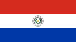 Paraguay Stick Flags, Finish: Heat Cut, Size: 4x6&quot;