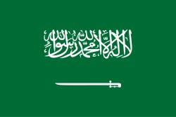 Saudi Arabia Stick Flags, Finish: Heat Cut, Size: 4x6&quot;