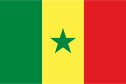 Senegal Stick Flags, Finish: Heat Cut, Size: 4x6&quot;
