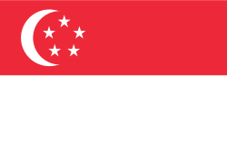 Singapore Stick Flags, Finish: Heat Cut, Size: 4x6&quot;