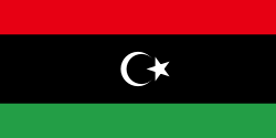 Libya Flag (200/210D Nylon), Size: 36x72"