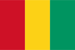Guinea Flag  (200D Nylon)