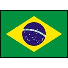 Brazil Stick Flags, Finish: Heat Cut, Size: 4x6"