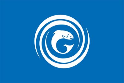 Gaelic Stick Flags
