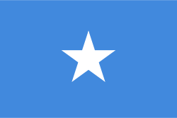 Somalia Stick Flag, Finish: Heat Cut, Size: 4x6"