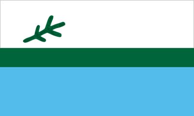 Labrador Flags (Econo Polyester), Size: 36x60"