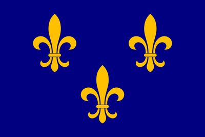 Fleur de-lis Flag(Econo Polyester)