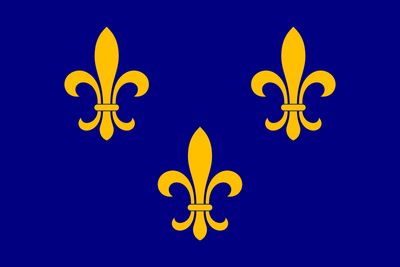 Fleur De Lis Flag (Econo Polyester)