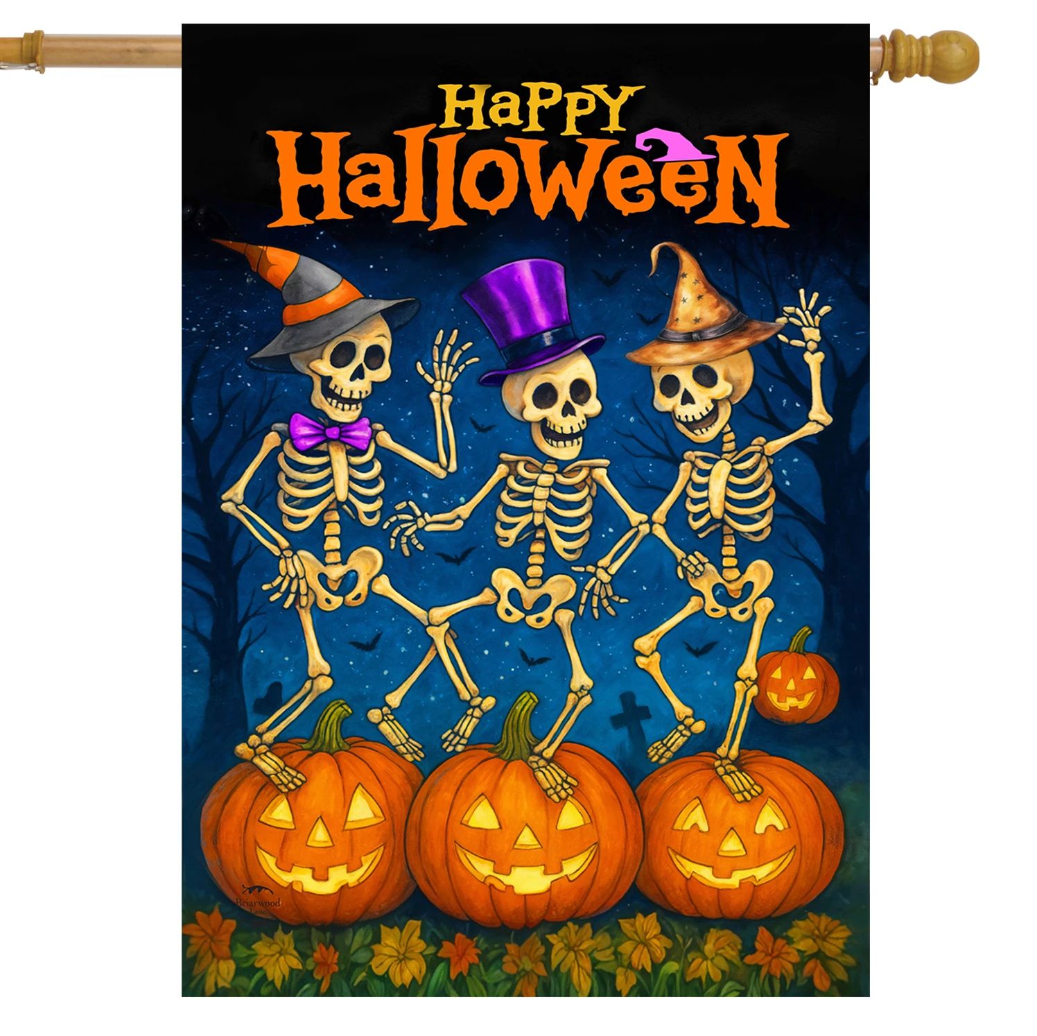 Skeleton Dance Party House Flag