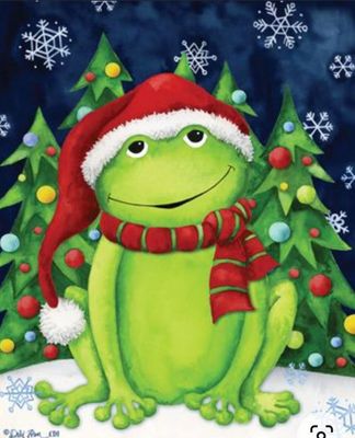 Christmas Frog Garden Flag