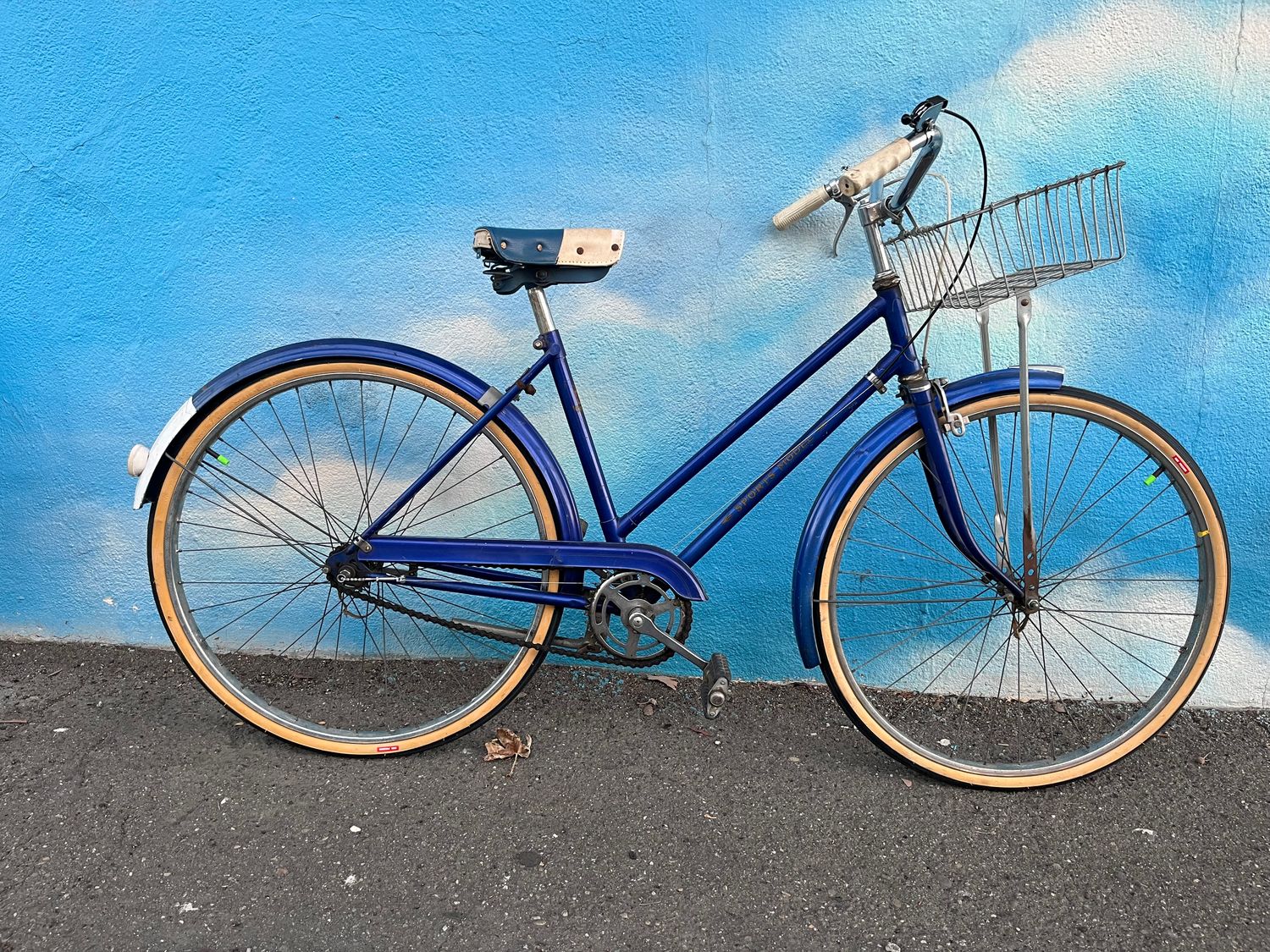 used Tourist Sports Model, blue, small, as-is