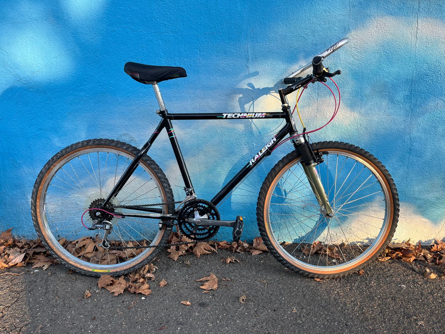 used Raleigh Technium, black/multi, large 19&quot;