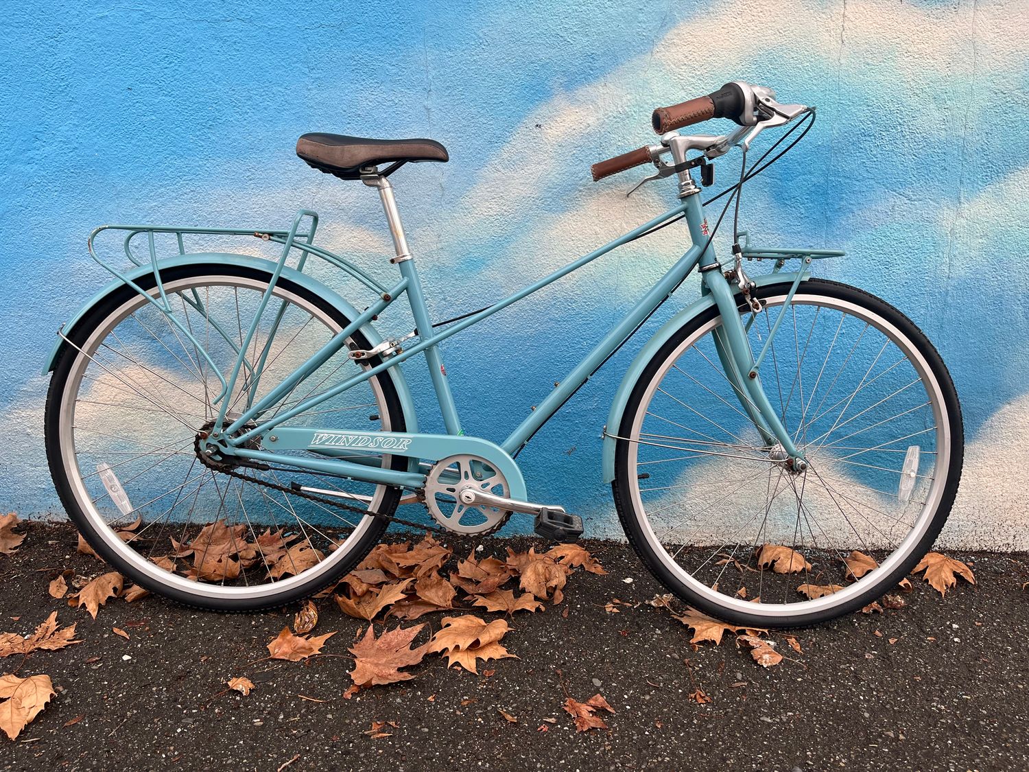 used Windsor Nexus 7-speed, blue, medium