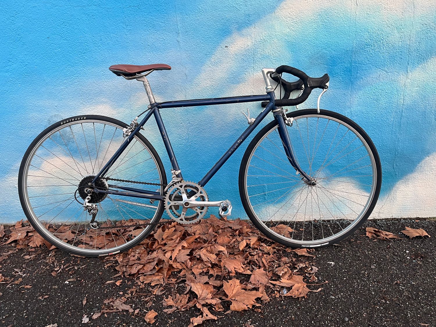 used Schwinn, blue, small, as-is