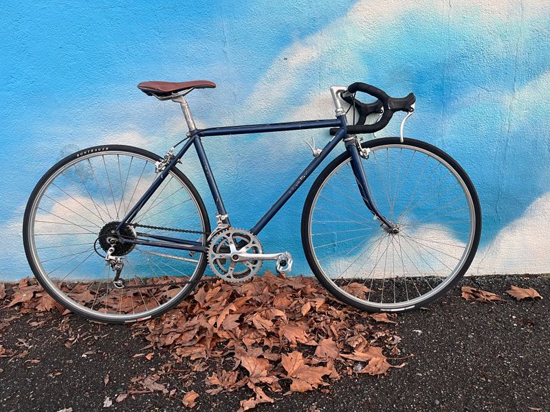 used Schwinn, blue, small, as-is