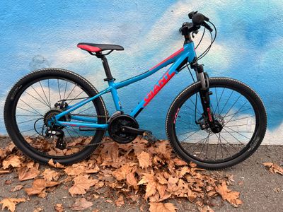 Youth 24&quot; wheel