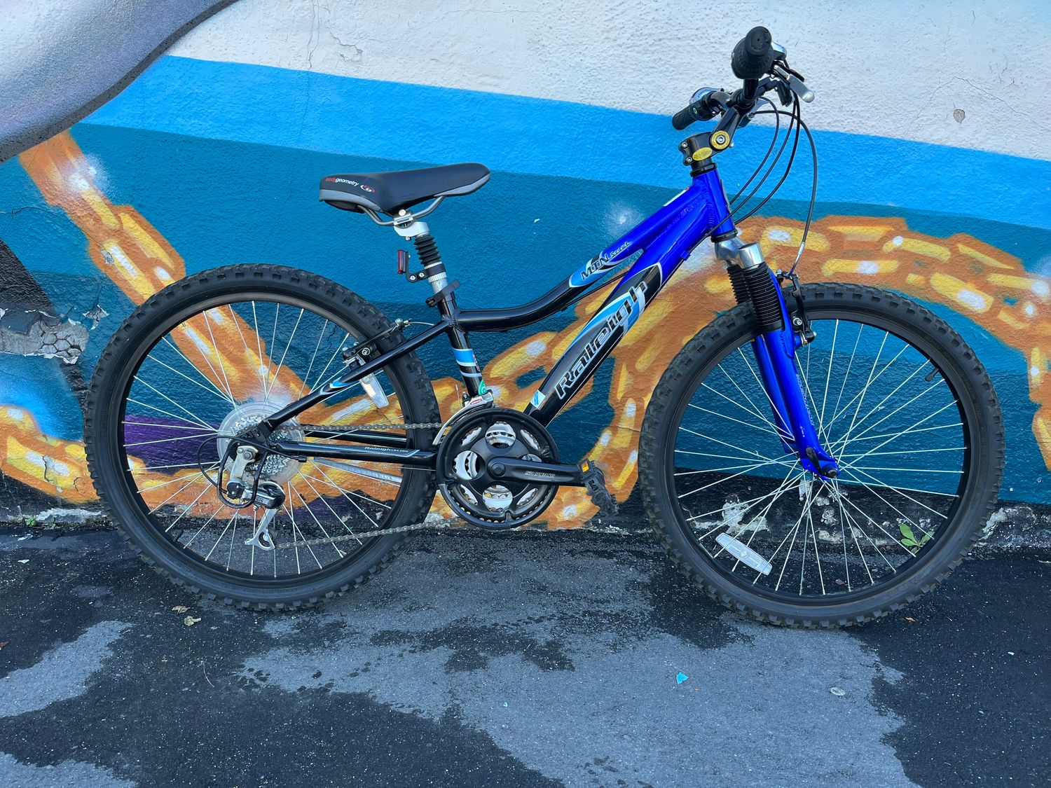 used Raleigh MTN Scout, blue/black