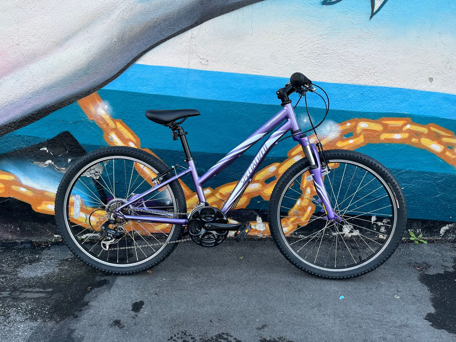 used Specialized Hotrock, purple
