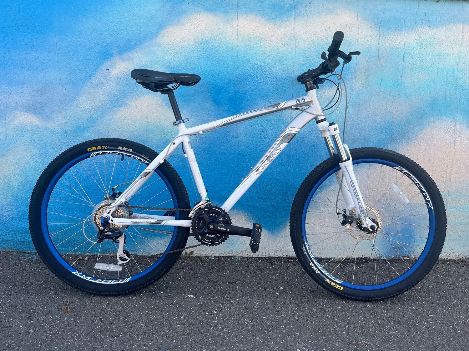 used Raleigh Talus 5.0, silver/cream/white, Large 19&quot;