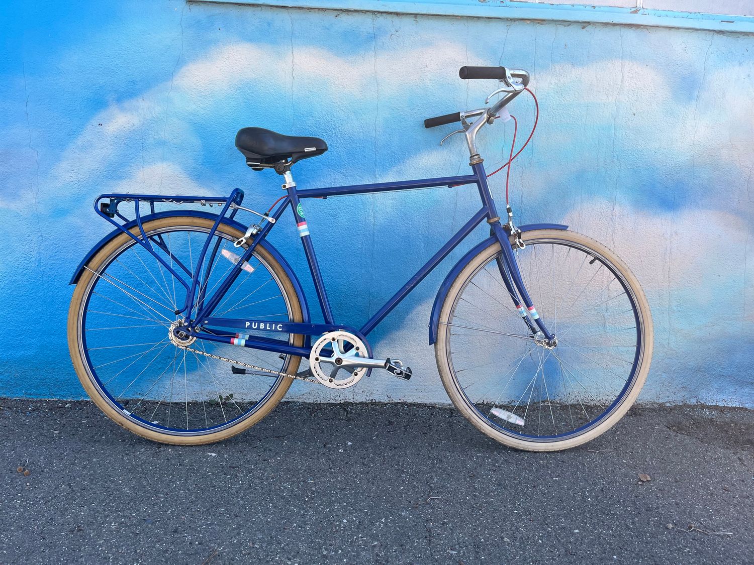 used Public single-speed, blue, large. as-is