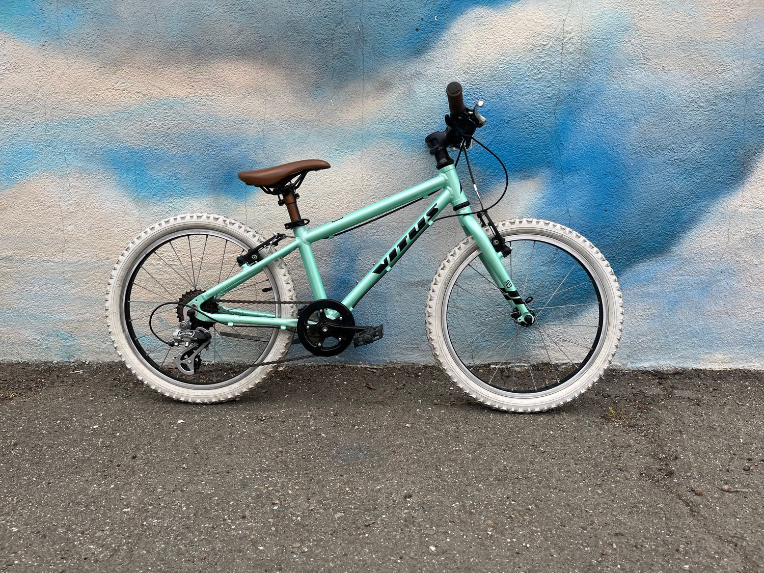 used Vitus 7-speed , green, 20&quot; wheel