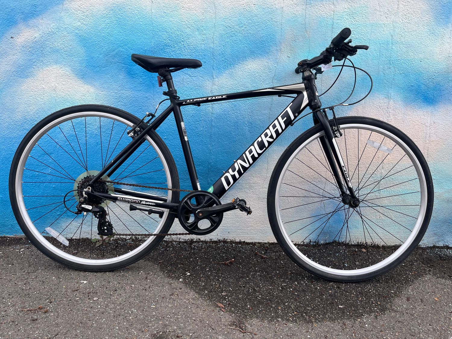 used Dynacraft Alpine Eagle, black, medium, as-is