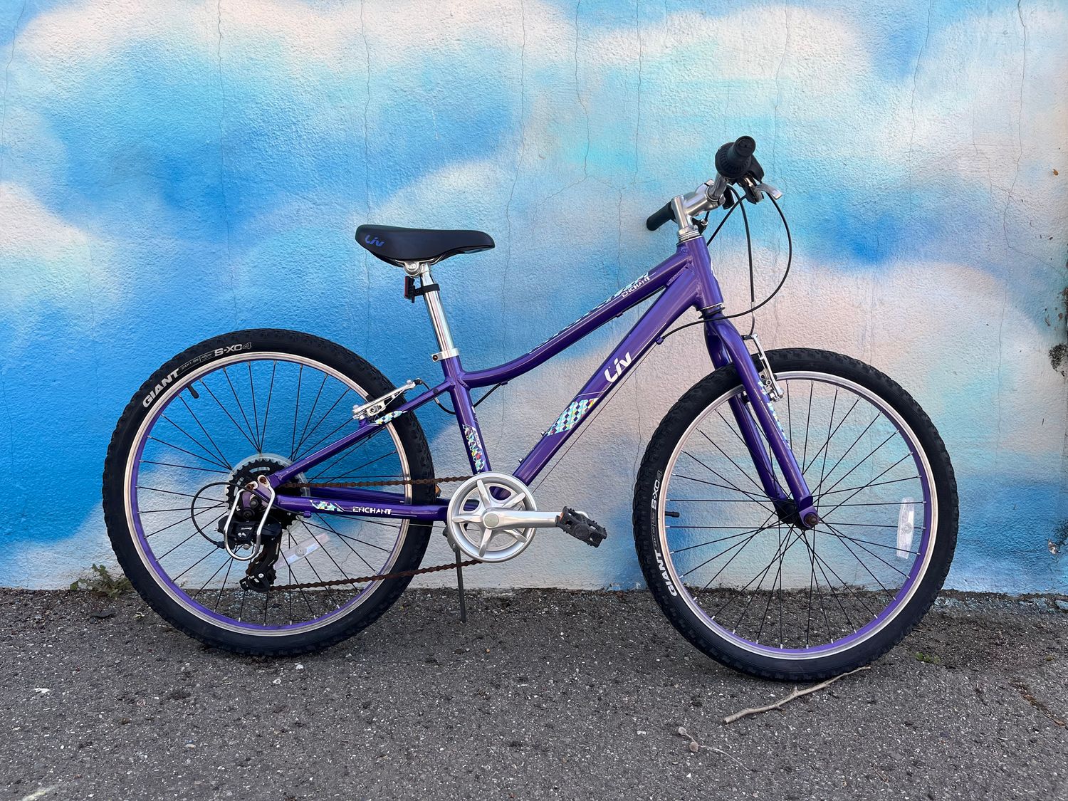 used Liv Enchant, purple