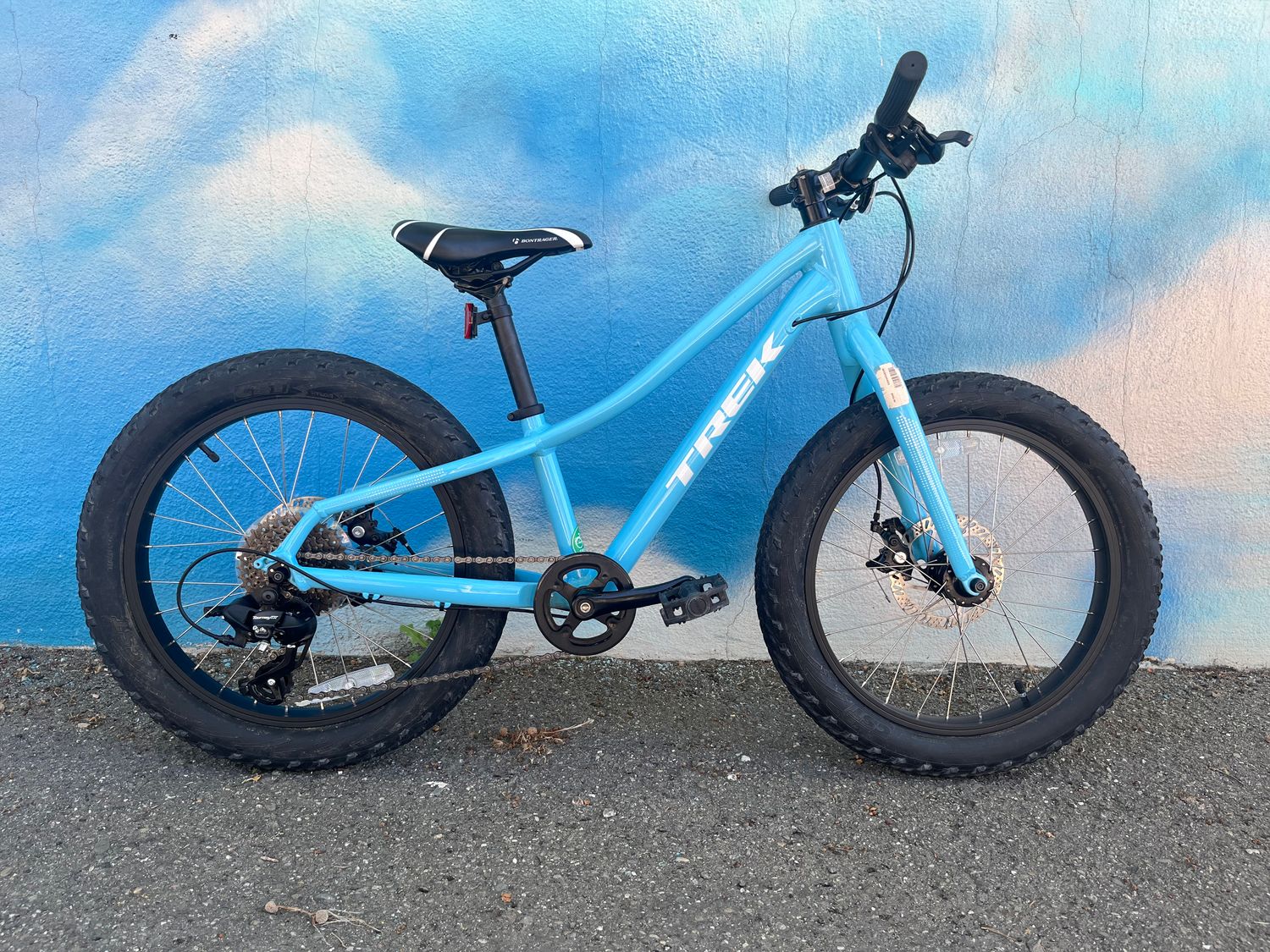 used Trek Roscoe, blue, 20&quot; wheel