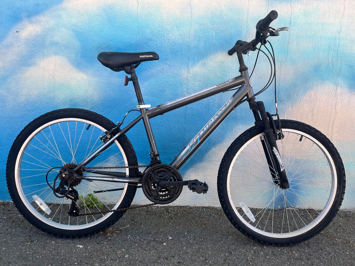 used Roadmaster Granite Peak, Gray, as-is