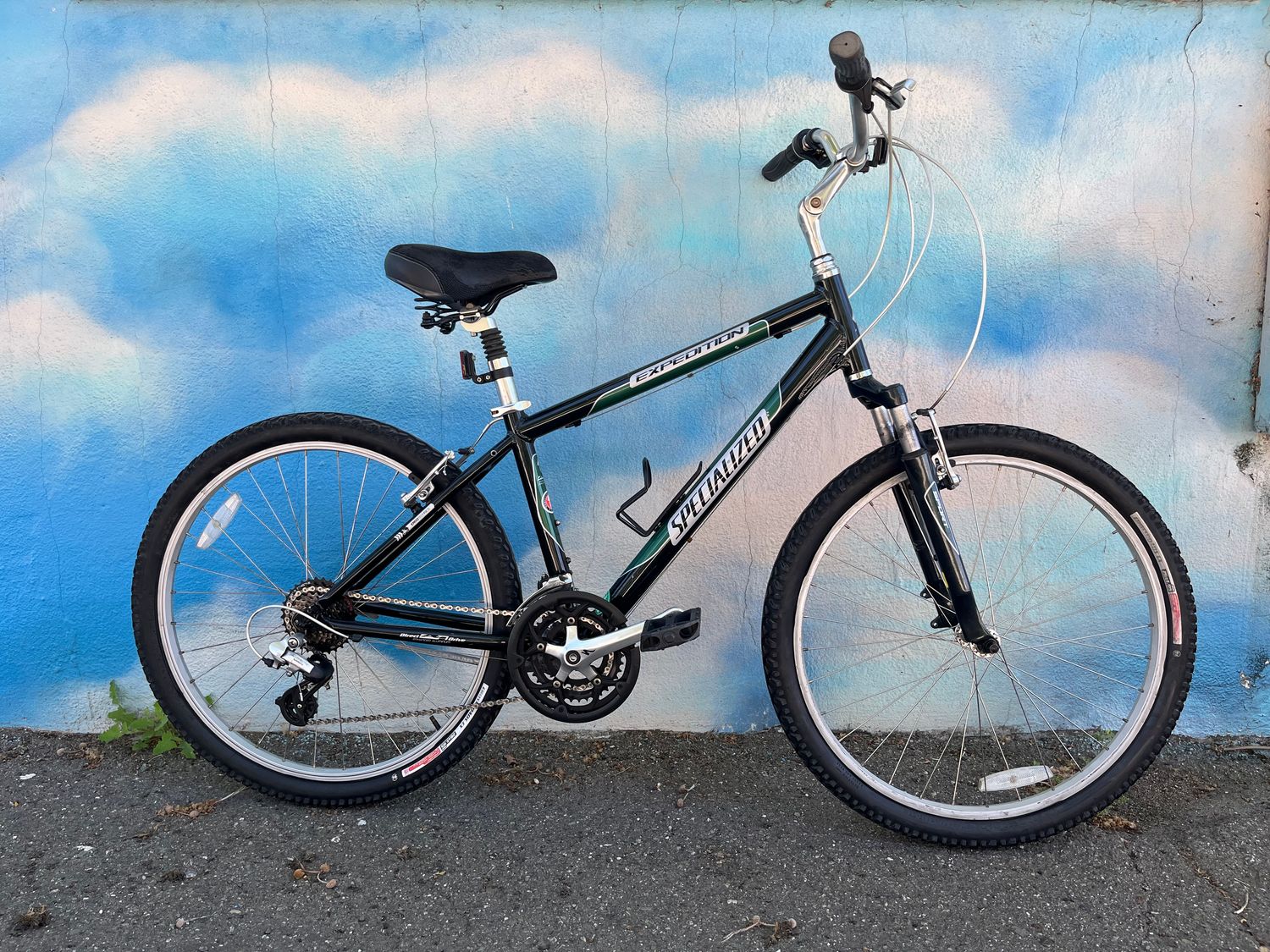 used Specialized Expedition, black/green, medium
