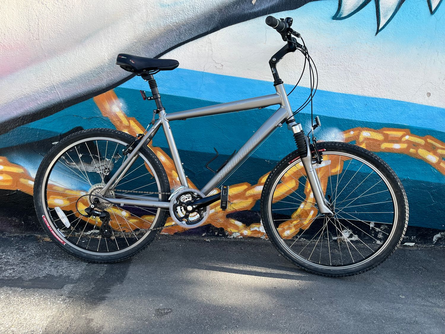 used Specialized Expedition, gray, large 19&quot;