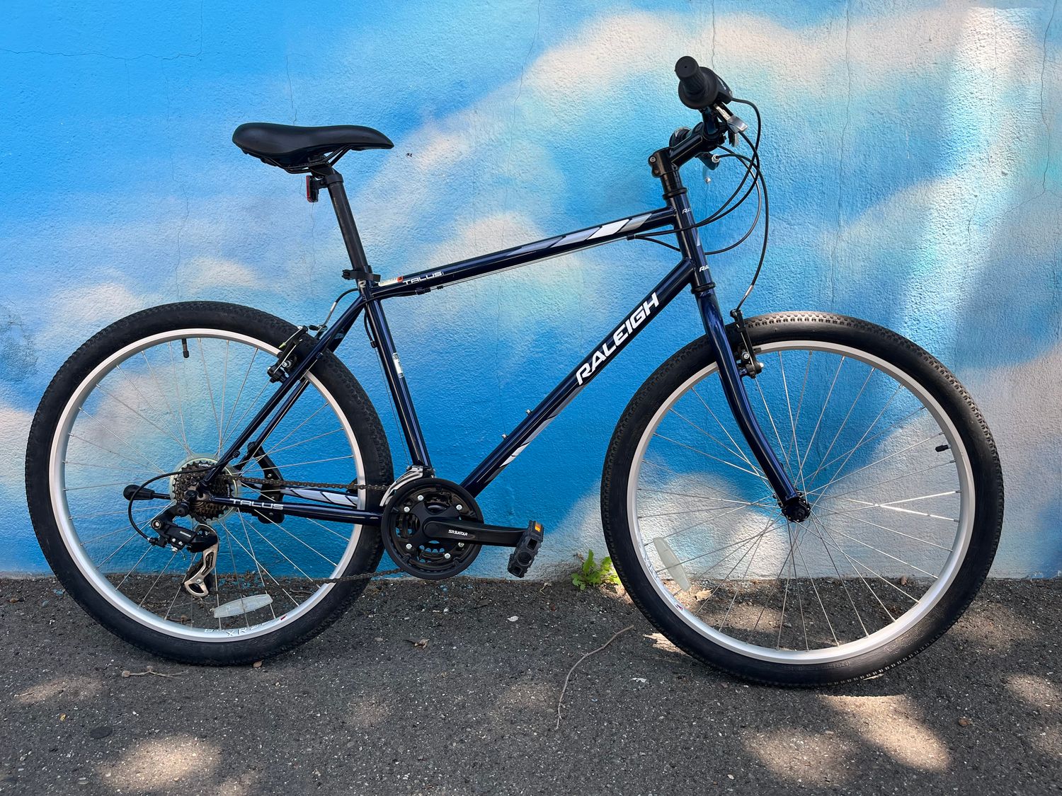 used Raleigh Talus, blue, large