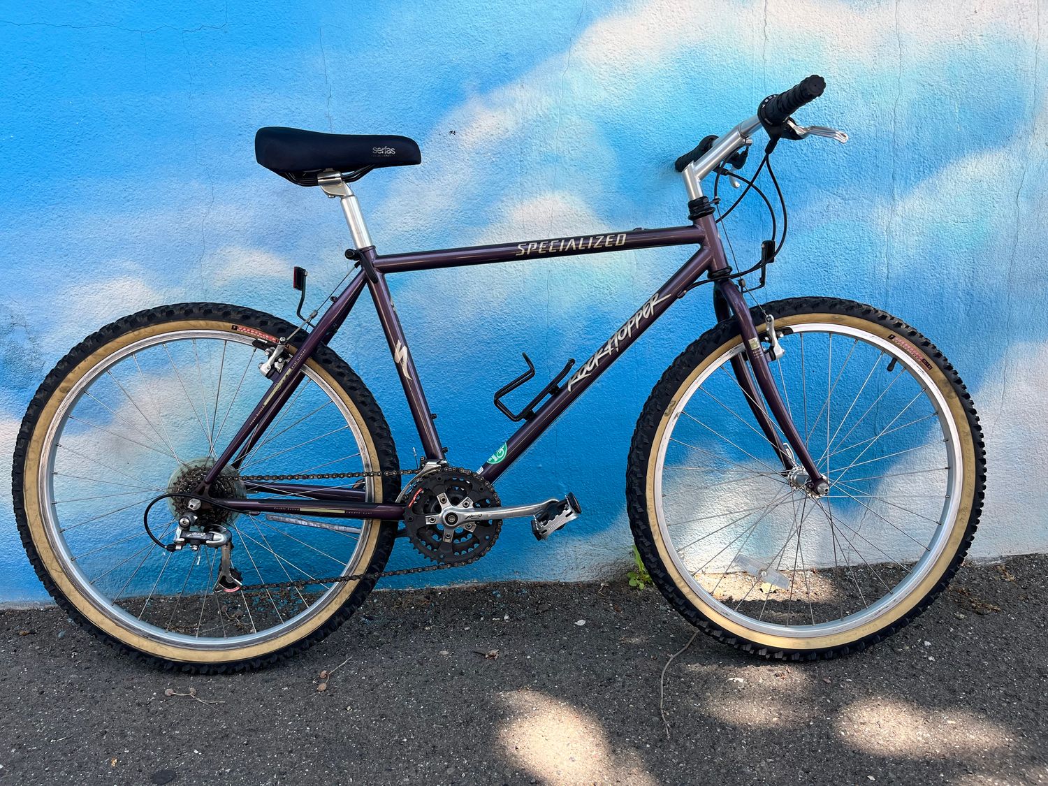 used Specialized Rockhopper, plum, large