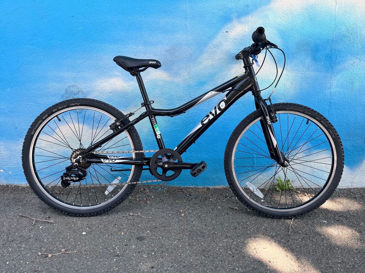 used Evo,Rockridge, black/silver