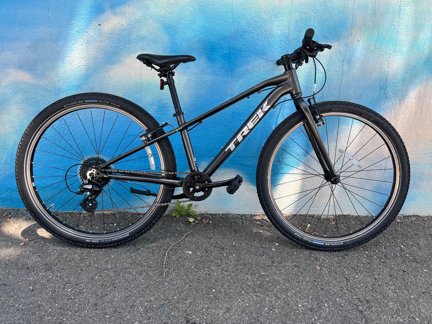 used Trek Wahoo, gray, XSmall