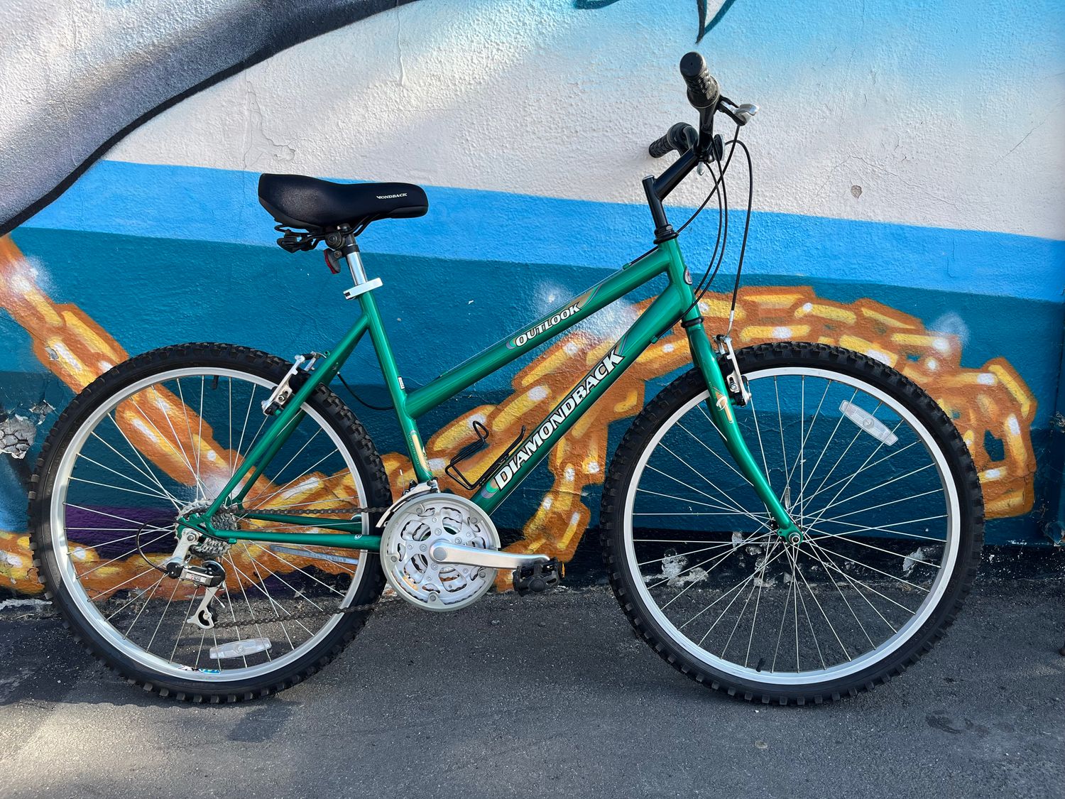 used Diamondback Outlook, green, large