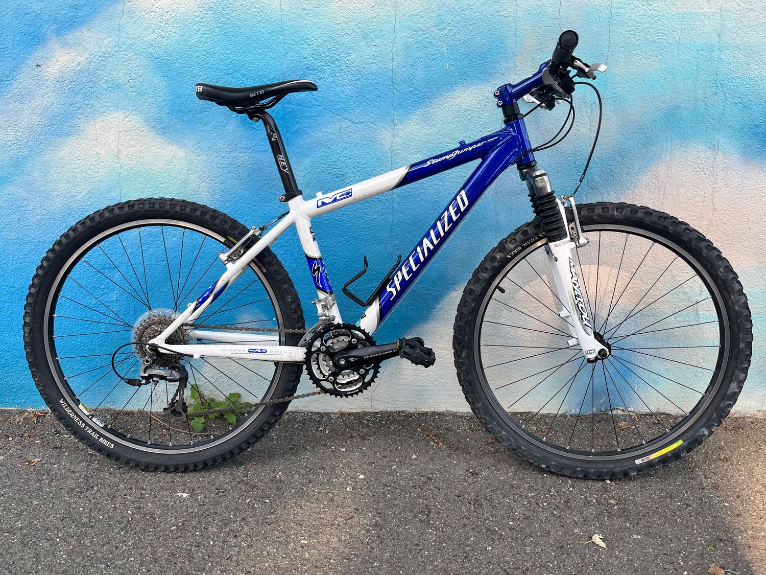 used Specialized Stumpjumper, blue/white, small