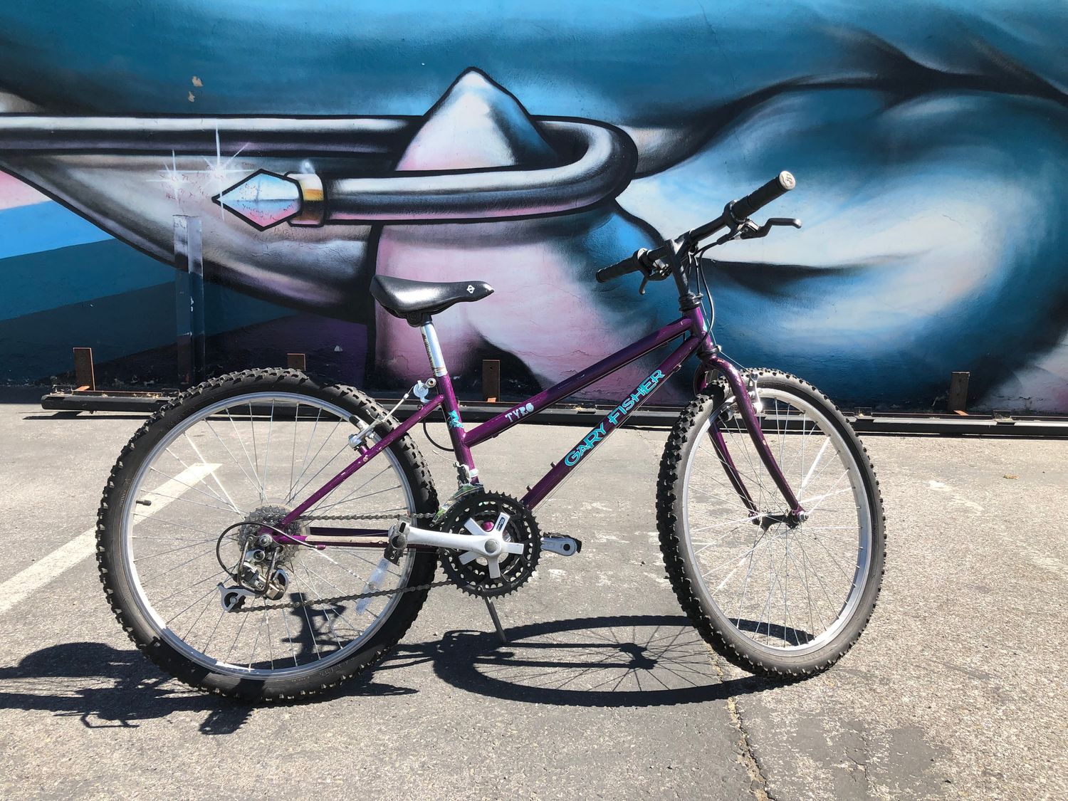 used, as-is , kids Gary Fisher Tyro purple/teal small