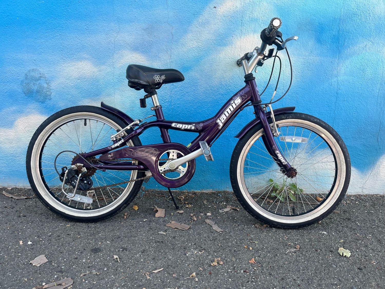 used Jamis Capri, purple, 20&quot; wheel