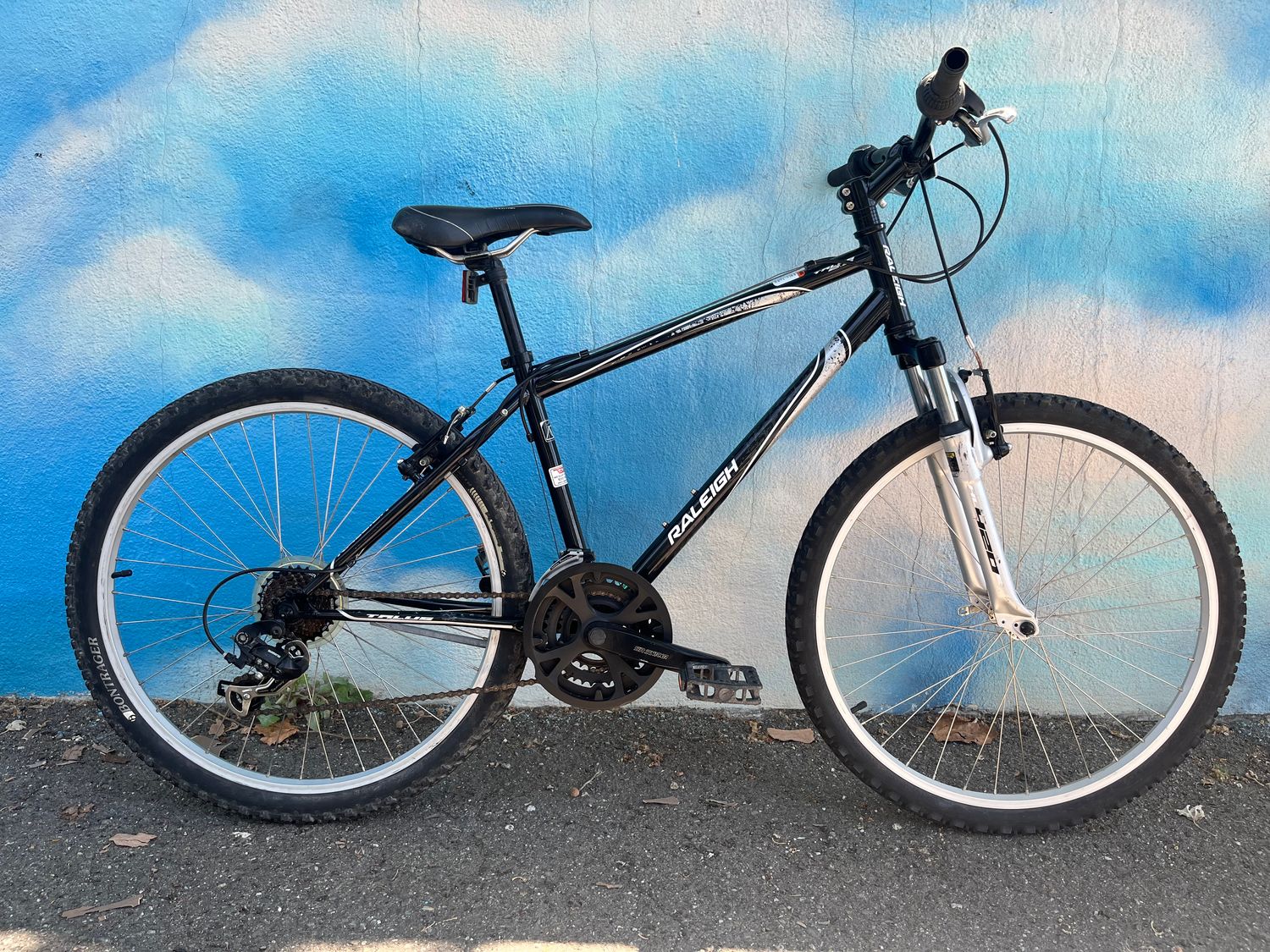 used Raleigh Talus, black/silver, medium