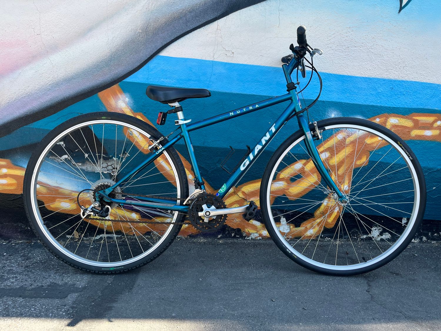 used Giant Nutra, teal, small, as-is